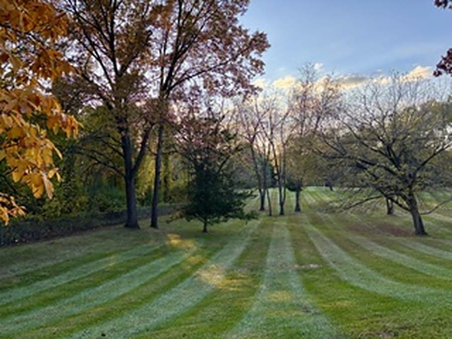 Long mowing stripes running through a lawn framed by autumn trees