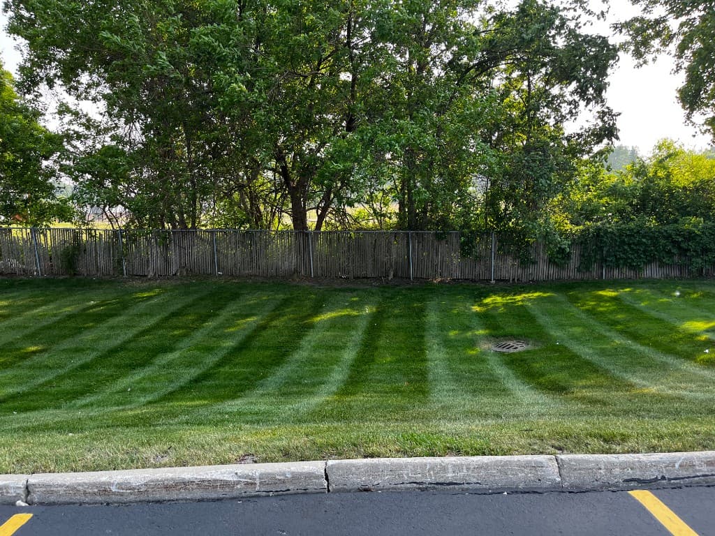 Freshly striped lawn maintained by Master Gardner, LLC