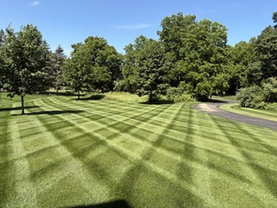 Lawn mowed in a crosshatch pattern with long afternoon shadows